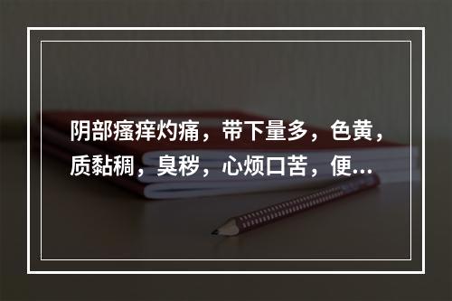 阴部瘙痒灼痛，带下量多，色黄，质黏稠，臭秽，心烦口苦，便秘溲