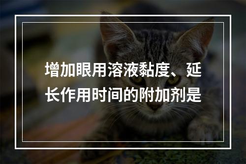 增加眼用溶液黏度、延长作用时间的附加剂是