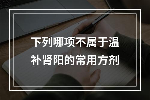 下列哪项不属于温补肾阳的常用方剂