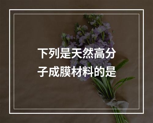 下列是天然高分子成膜材料的是