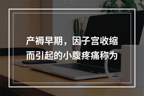 产褥早期，因子宫收缩而引起的小腹疼痛称为