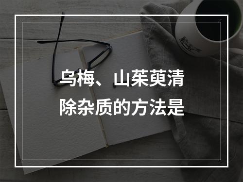 乌梅、山茱萸清除杂质的方法是