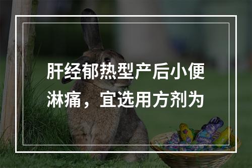 肝经郁热型产后小便淋痛，宜选用方剂为