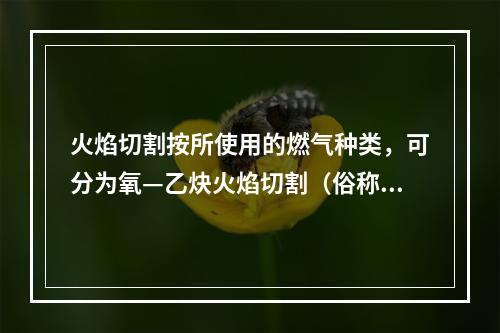 火焰切割按所使用的燃气种类，可分为氧—乙炔火焰切割（俗称气割