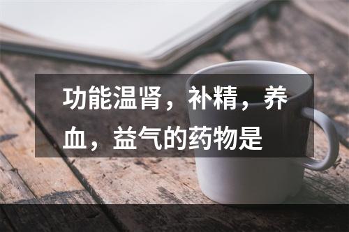 功能温肾，补精，养血，益气的药物是