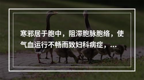 寒邪居于胞中，阻滞胞脉胞络，使气血运行不畅而致妇科病症，应治