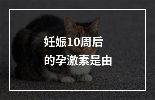 妊娠10周后的孕激素是由