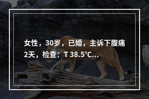 女性，30岁，已婚，主诉下腹痛2天，检查：T 38.5℃，下