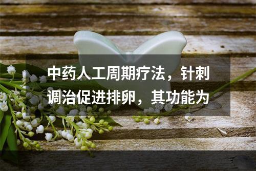 中药人工周期疗法，针刺调治促进排卵，其功能为