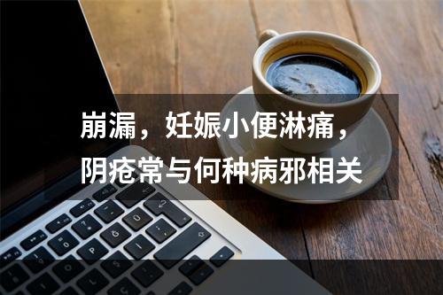 崩漏，妊娠小便淋痛，阴疮常与何种病邪相关