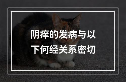 阴痒的发病与以下何经关系密切