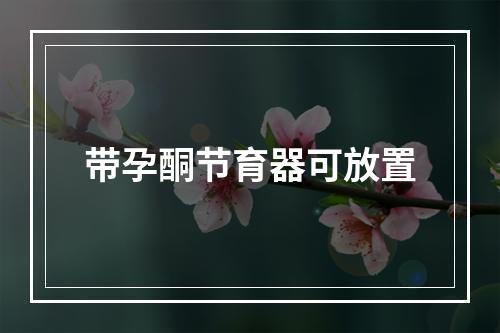 带孕酮节育器可放置