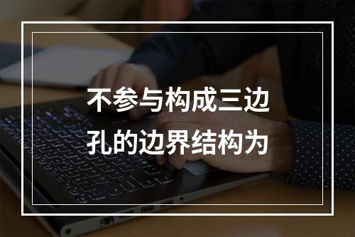 不参与构成三边孔的边界结构为