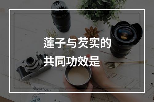 莲子与芡实的共同功效是