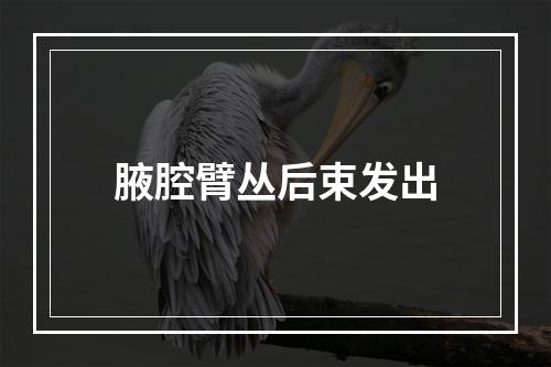 腋腔臂丛后束发出