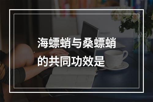 海螵蛸与桑螵蛸的共同功效是