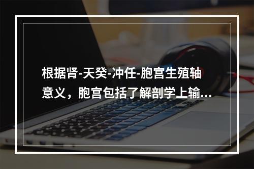 根据肾-天癸-冲任-胞宫生殖轴意义，胞宫包括了解剖学上输卵管