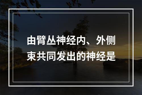 由臂丛神经内、外侧束共同发出的神经是