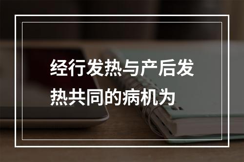 经行发热与产后发热共同的病机为