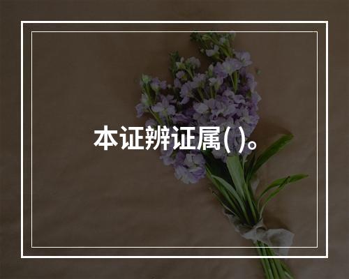 本证辨证属( )。