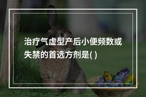 治疗气虚型产后小便频数或失禁的首选方剂是( )