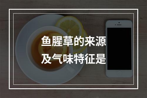 鱼腥草的来源及气味特征是