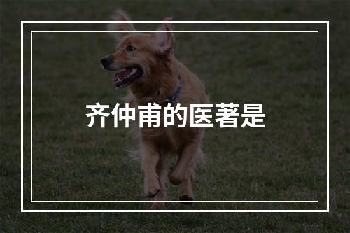 齐仲甫的医著是