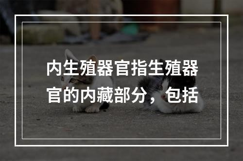 内生殖器官指生殖器官的内藏部分，包括