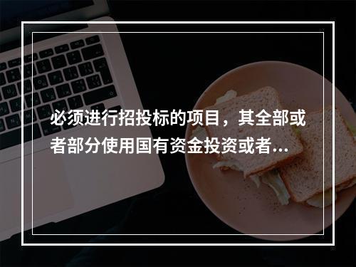 必须进行招投标的项目，其全部或者部分使用国有资金投资或者国家