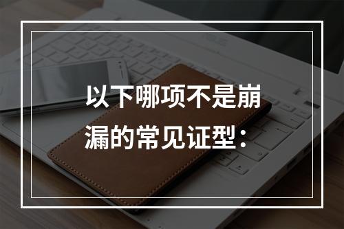 以下哪项不是崩漏的常见证型：