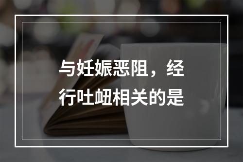 与妊娠恶阻，经行吐衄相关的是