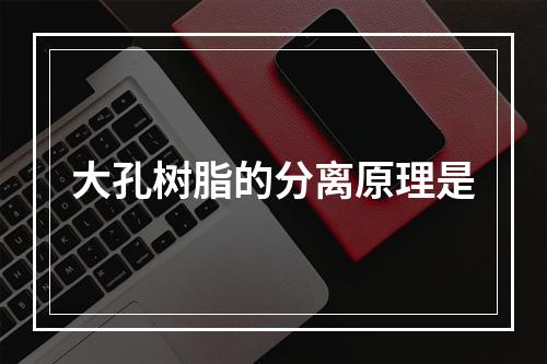 大孔树脂的分离原理是