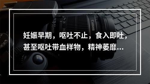 妊娠早期，呕吐不止，食入即吐，甚至呕吐带血样物，精神萎靡，形