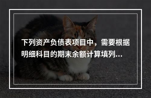 下列资产负债表项目中，需要根据明细科目的期末余额计算填列的有