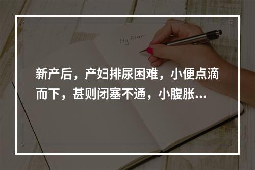 新产后，产妇排尿困难，小便点滴而下，甚则闭塞不通，小腹胀急疼