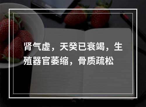 肾气虚，天癸已衰竭，生殖器官萎缩，骨质疏松