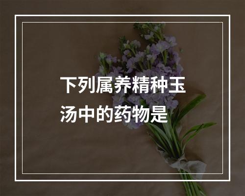 下列属养精种玉汤中的药物是