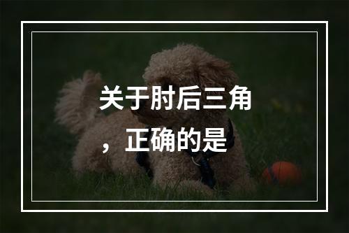 关于肘后三角，正确的是