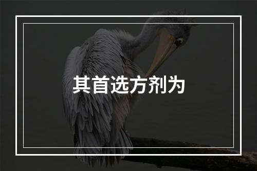 其首选方剂为