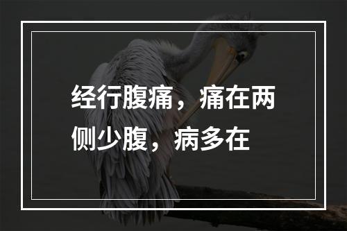 经行腹痛，痛在两侧少腹，病多在