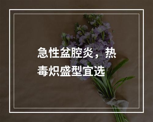 急性盆腔炎，热毒炽盛型宜选