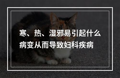 寒、热、湿邪易引起什么病变从而导致妇科疾病