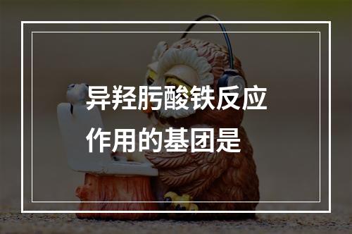 异羟肟酸铁反应作用的基团是