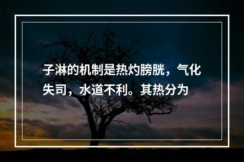 子淋的机制是热灼膀胱，气化失司，水道不利。其热分为