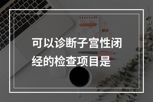 可以诊断子宫性闭经的检查项目是