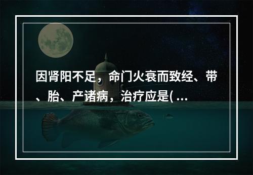 因肾阳不足，命门火衰而致经、带、胎、产诸病，治疗应是( )。