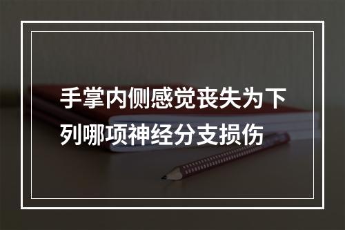 手掌内侧感觉丧失为下列哪项神经分支损伤