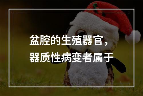 盆腔的生殖器官，器质性病变者属于