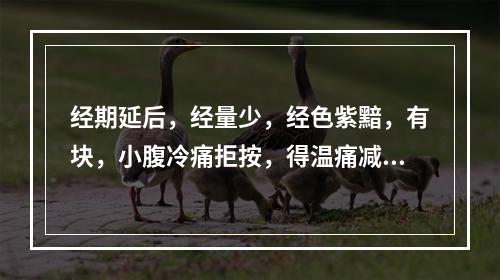 经期延后，经量少，经色紫黯，有块，小腹冷痛拒按，得温痛减，面