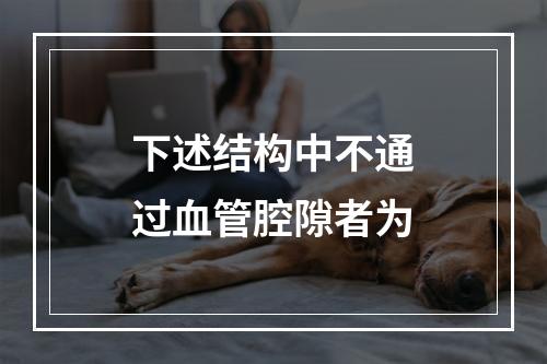 下述结构中不通过血管腔隙者为